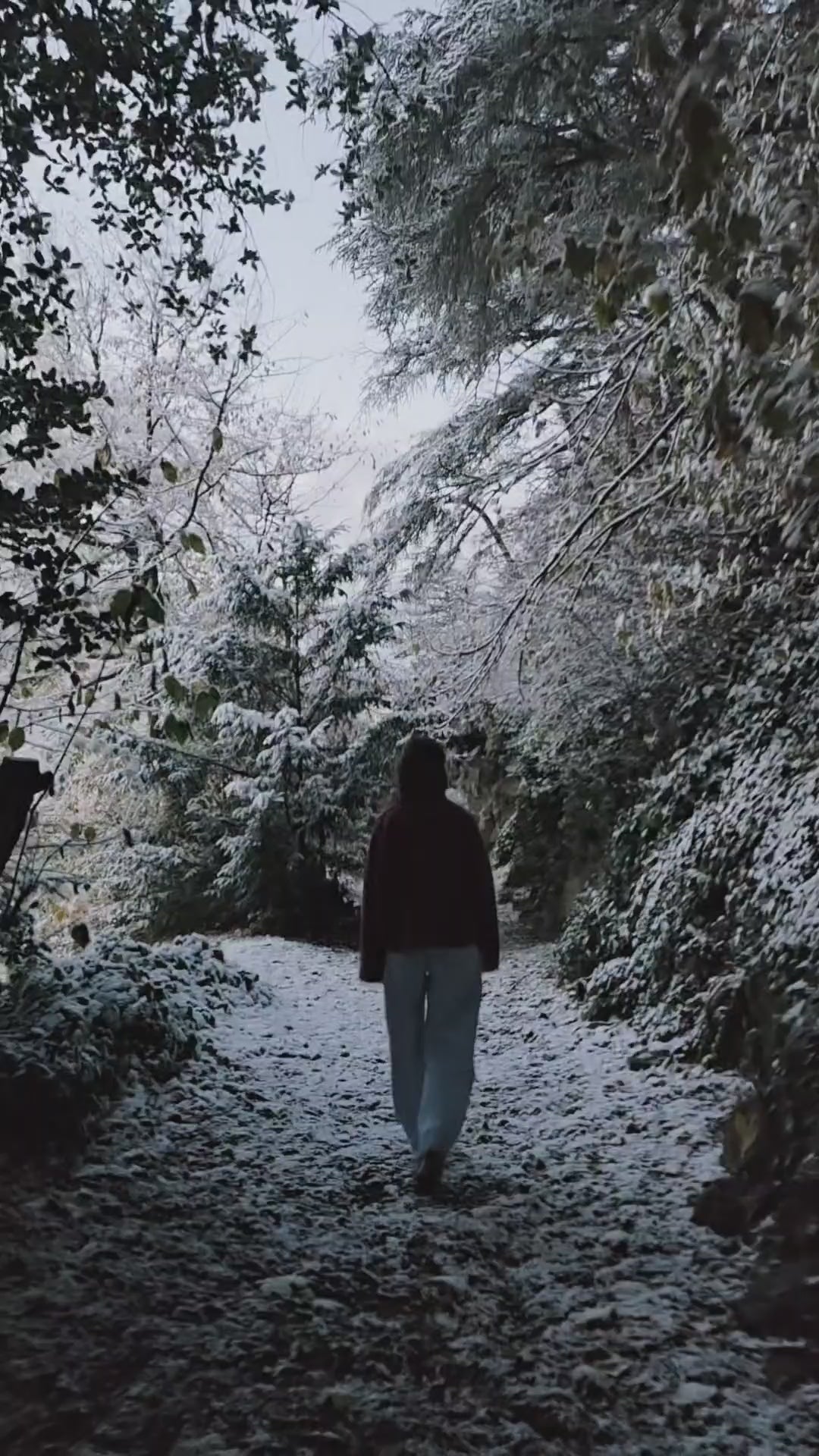 Vidéo de la veste Albertine portée sous la neige, dans un bois, le modèle marche dans la pénombre